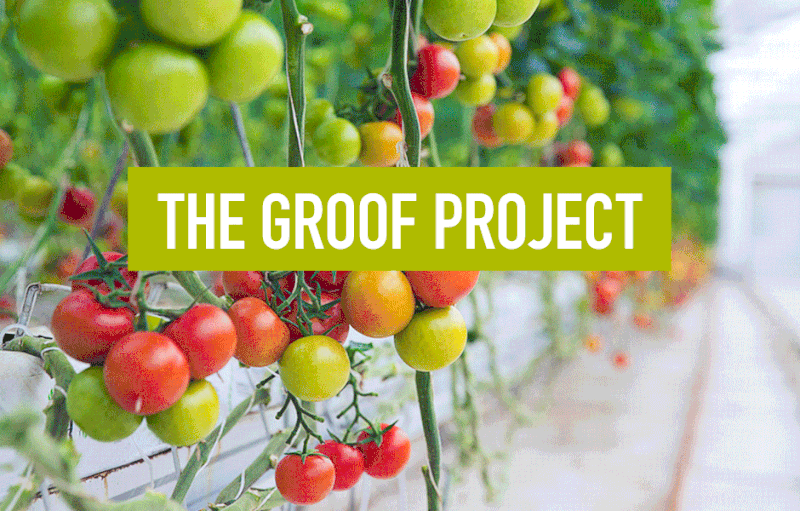 Le projet Groof optimise les flux climatiques et énergétiques des serres urbaines en les connectant au bâtiment qui les supporte.